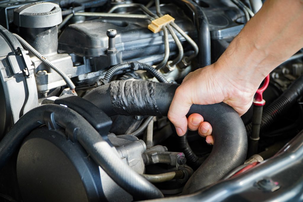 technician inspecting a vehicle radiator hose